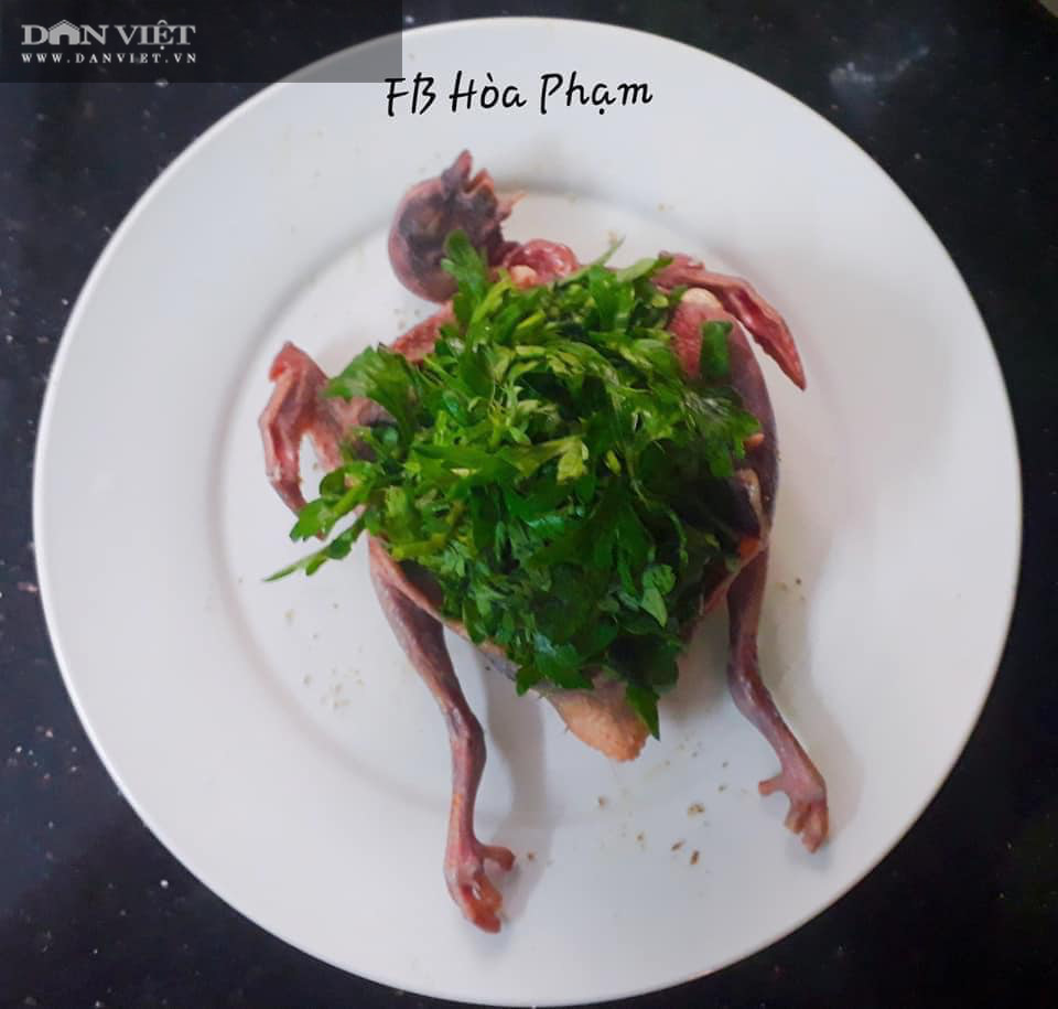 Mẹo nhỏ nấu món chim bồ câu hấp tam thất ngải cứu không tanh, không đắng - Ảnh 4. Mẹo nhỏ nấu món chim bồ câu hấp tam thất ngải cứu không tanh, không đắng - Ảnh 4.