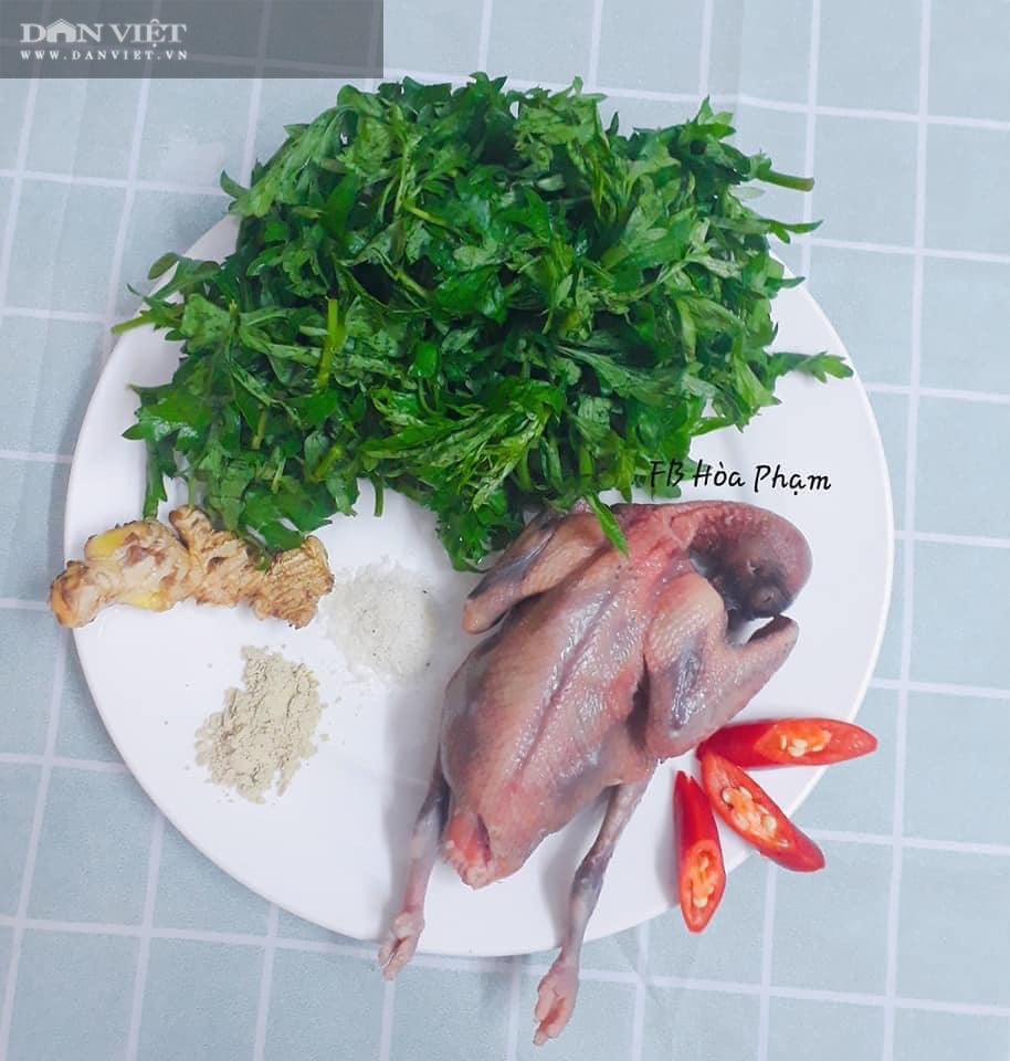 Mẹo nhỏ nấu món chim bồ câu hấp tam thất ngải cứu không tanh, không đắng - Ảnh 1. Mẹo nhỏ nấu món chim bồ câu hấp tam thất ngải cứu không tanh, không đắng - Ảnh 1.