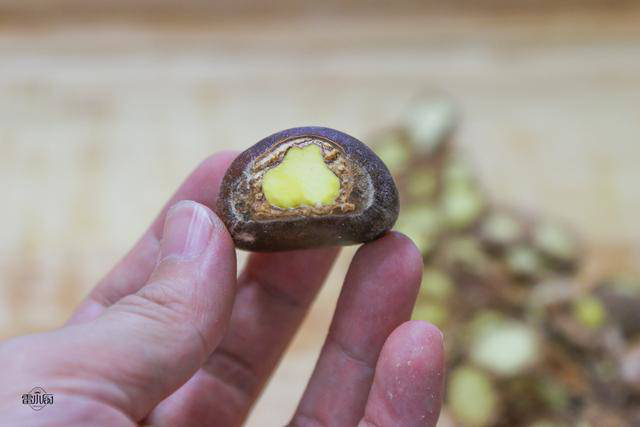 Bày cách bóc hạt dẻ nhanh gọn, không đau tay, mang hầm xương, đồ xôi ngon tuyệt  - Ảnh 4.