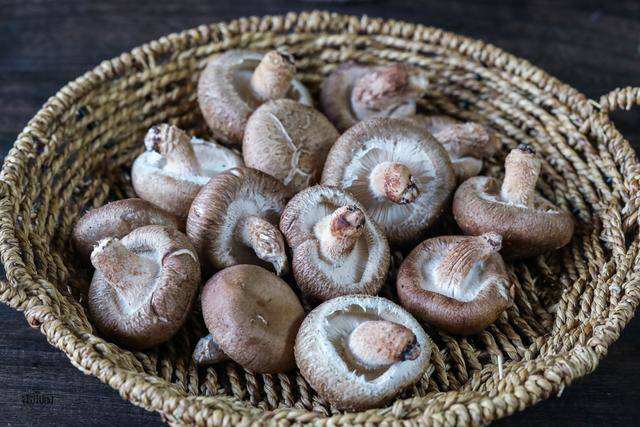 Đừng chỉ rửa với nước, hãy cho thêm thứ này vào để nấm hương tươi sạch 100% bụi bẩn - Ảnh 1. Đừng chỉ rửa với nước, hãy cho thêm thứ này vào để nấm hương tươi sạch 100% bụi bẩn - Ảnh 1.