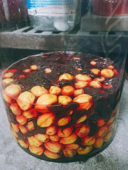 Mẹo ngâm mơ muối để lâu ngày mà không bị hư - Ảnh 2. Mẹo ngâm mơ muối để lâu ngày mà không bị hư - Ảnh 2.