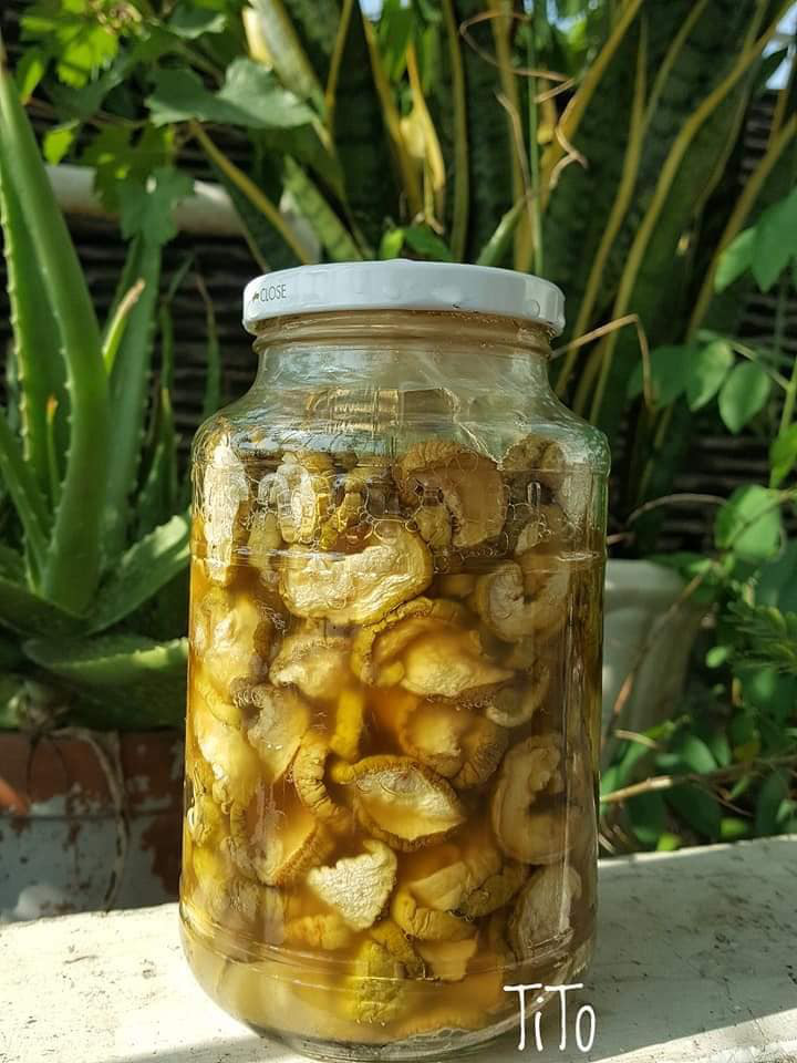 Loại quả dưỡng da, ngừa lão hóa, tốt cho tim, đem muối chua thành món chống ngán ngày Tết- Ảnh 5.