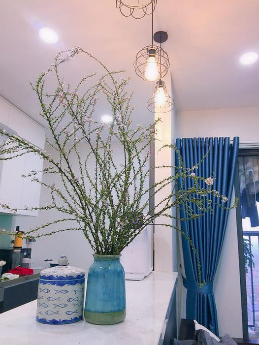 Bỏ túi ngay cách cắm hoa tuyết mai trang trí nhà cửa dịp Tết - Ảnh 4. Bỏ túi ngay cách cắm hoa tuyết mai trang trí nhà cửa dịp Tết - Ảnh 4.