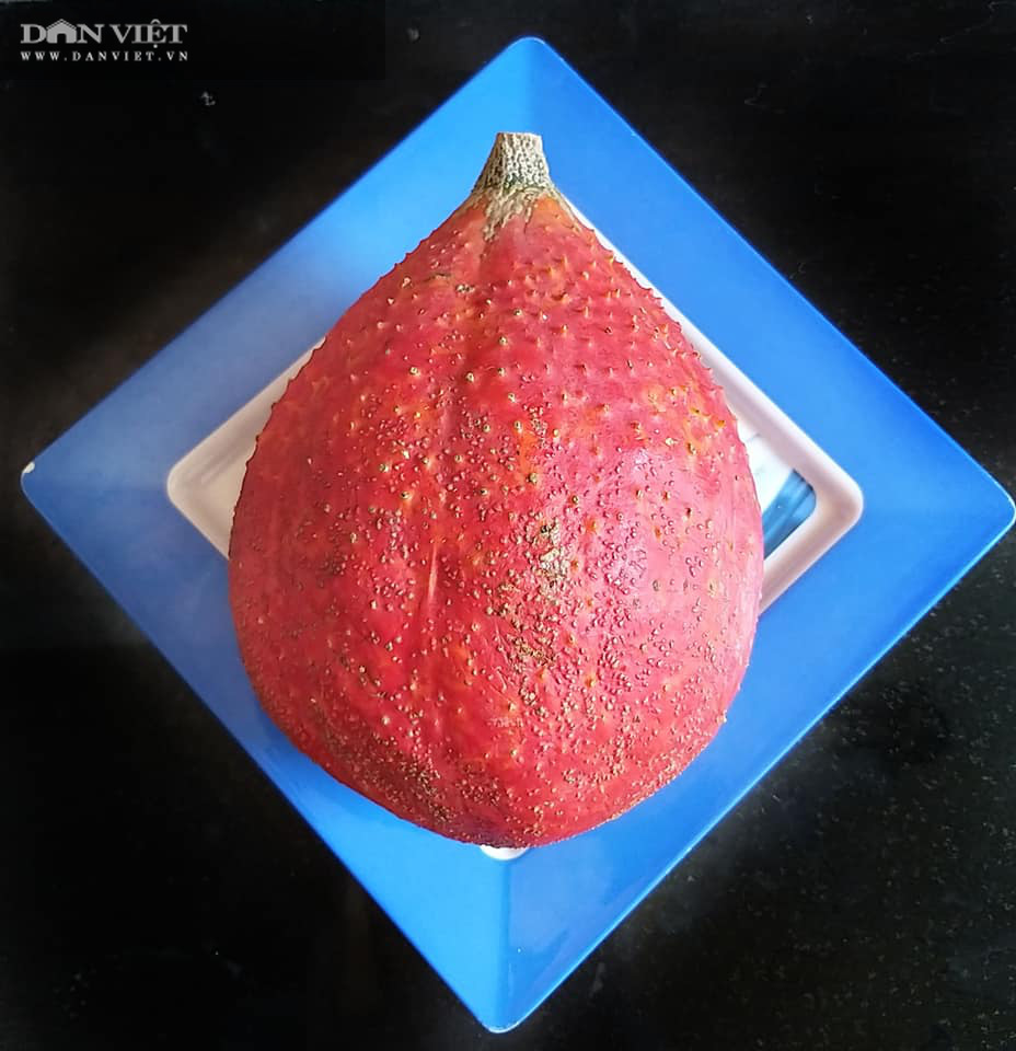 Muốn nấu xôi gấc dẻo thơm, lên màu đẹp, không thể bỏ qua bí quyết này - Ảnh 1. Muốn nấu xôi gấc dẻo thơm, lên màu đẹp, không thể bỏ qua bí quyết này - Ảnh 1.