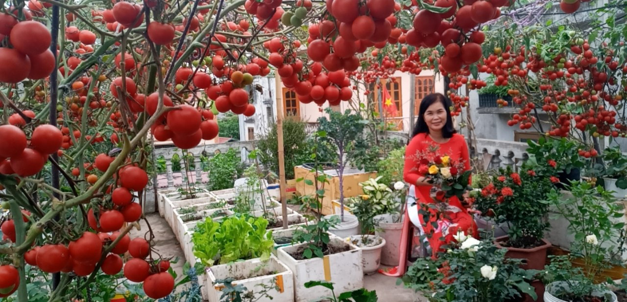 rên sân thượng của người phụ nữ tại Hải Phòng - Ảnh 4. rên sân thượng của người phụ nữ tại Hải Phòng - Ảnh 4.