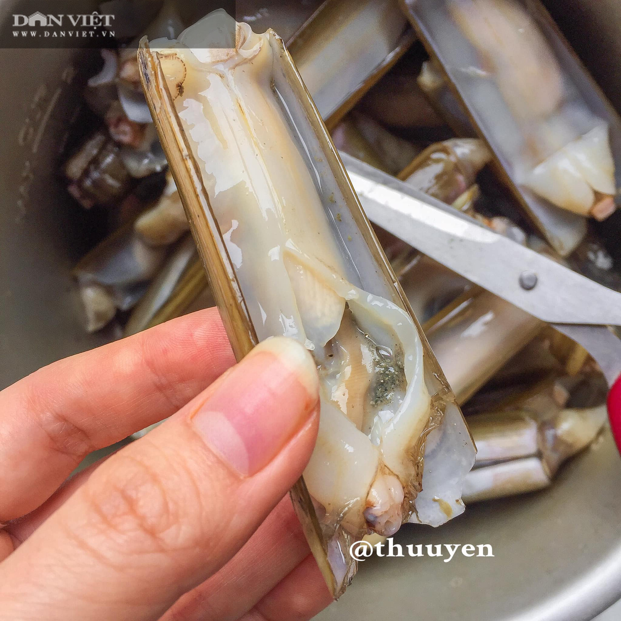 Bí quyết làm món ốc móng tay xào me ngon đúng điệu - Ảnh 4. Bí quyết làm món ốc móng tay xào me ngon đúng điệu - Ảnh 4.
