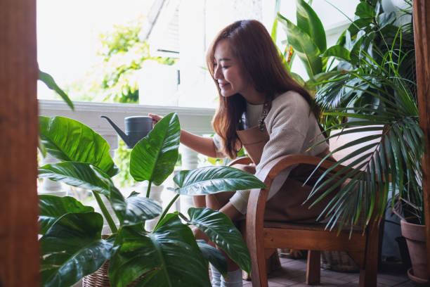 Cách bài trí cây cảnh trong nhà hợp lý, tạo không gian thoải mái, trong lành nhất - Ảnh 3.