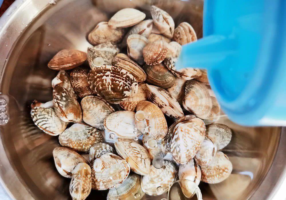 Ngao nhiều cát, làm động tác này vài lần, ngao nhả sạch bong, không còn một hạt - Ảnh 3. Ngao nhiều cát, làm động tác này vài lần, ngao nhả sạch bong, không còn một hạt - Ảnh 3.