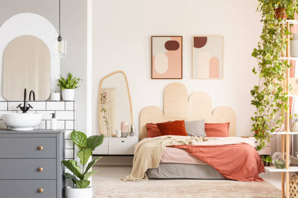 Trồng 4 cây cảnh có tác dụng "thôi miên" này, đảm bảo ngủ sâu, sáng ra tràn đầy năng lượng - Ảnh 7.