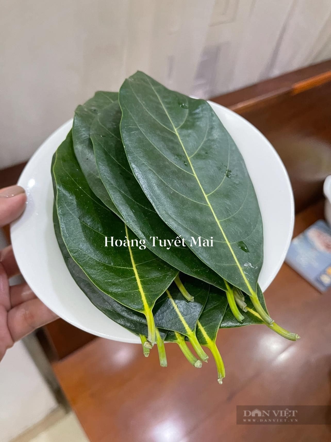 Kho thịt với loại lá này, không dùng nước màu thịt kho vẫn ngon, đẹp xuất sắc - Ảnh 3. Kho thịt với loại lá này, không dùng nước màu thịt kho vẫn ngon, đẹp xuất sắc - Ảnh 3.