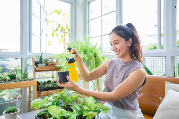 3 trường hợp khẩn cấp cần đổi chậu cho cây cảnh, trời lạnh cũng không thể đừng - Ảnh 5.