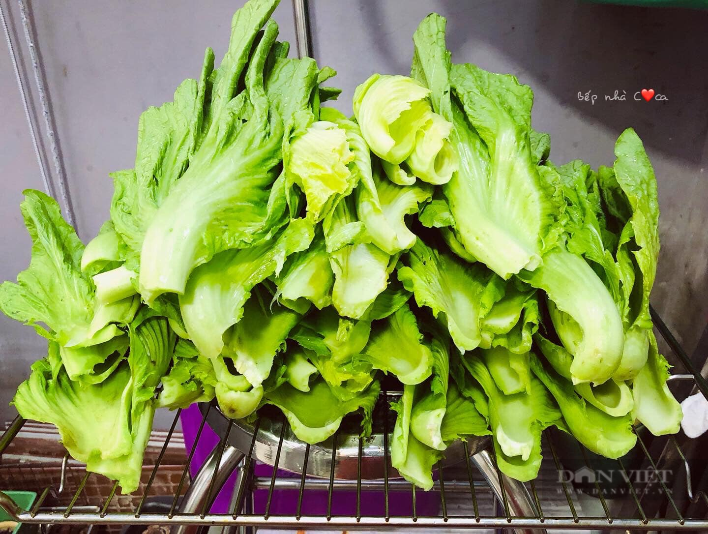 Muối dưa cải giòn ngon lên màu đẹp, chỉ cần loại gia vị này - Ảnh 1.