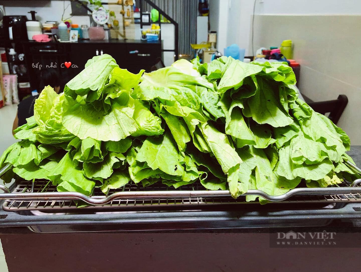 Muối dưa cải giòn ngon lên màu đẹp, chỉ cần loại gia vị này - Ảnh 3.