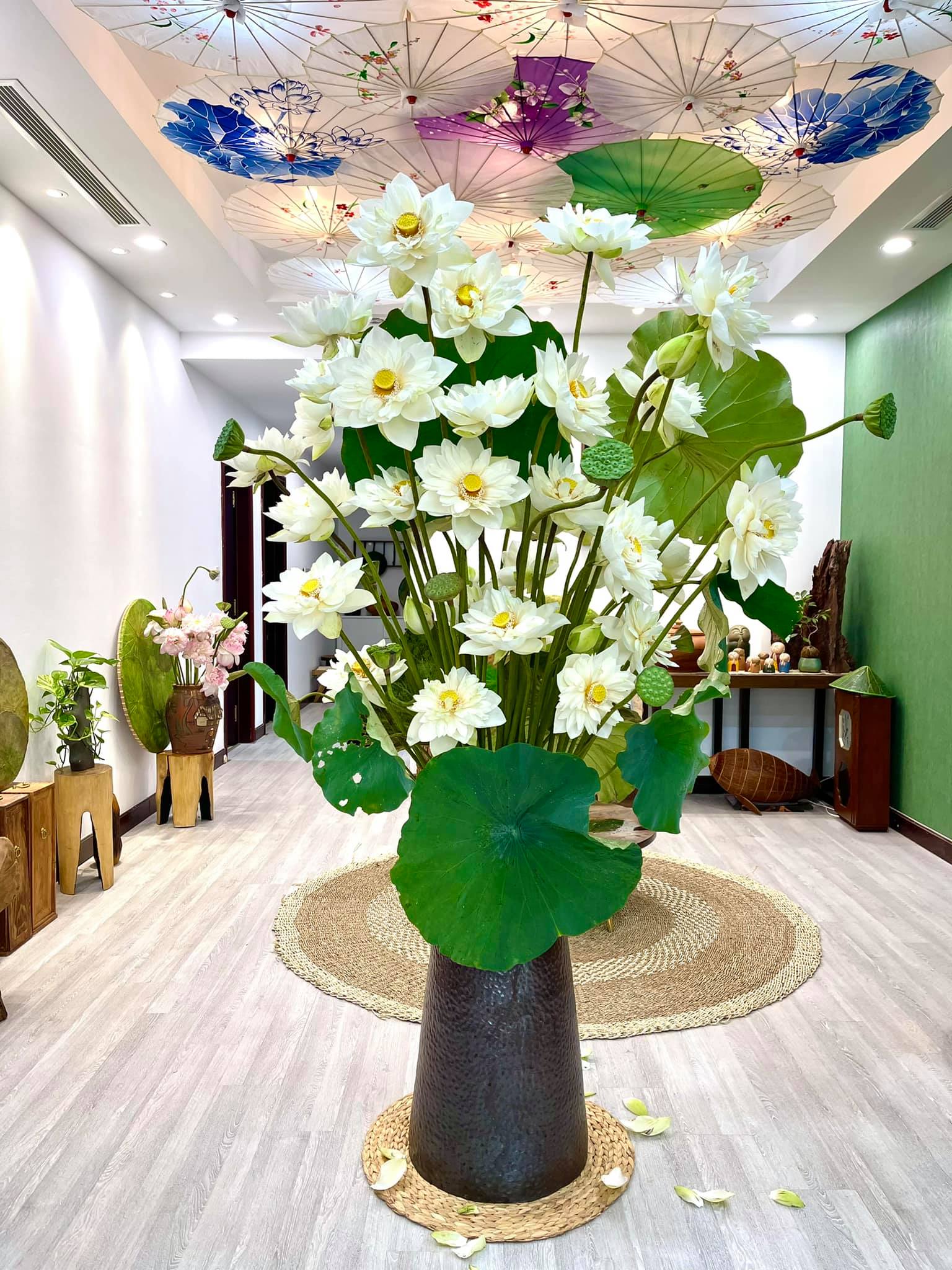 Hoa sen - Ảnh 9. Hoa sen - Ảnh 9.