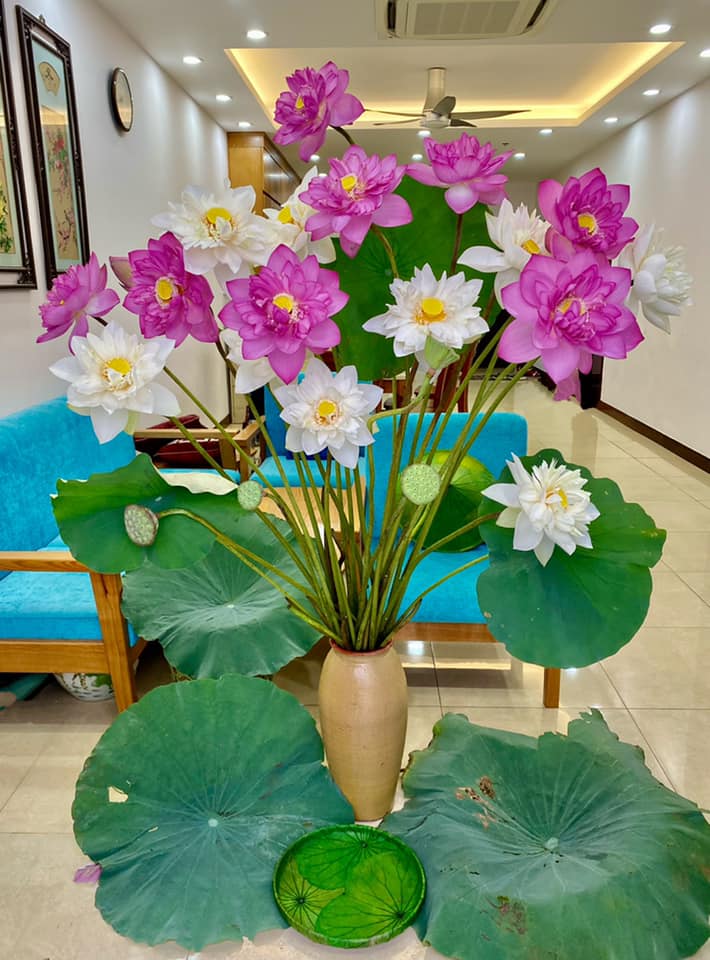 Hoa sen - Ảnh 16. Hoa sen - Ảnh 16.