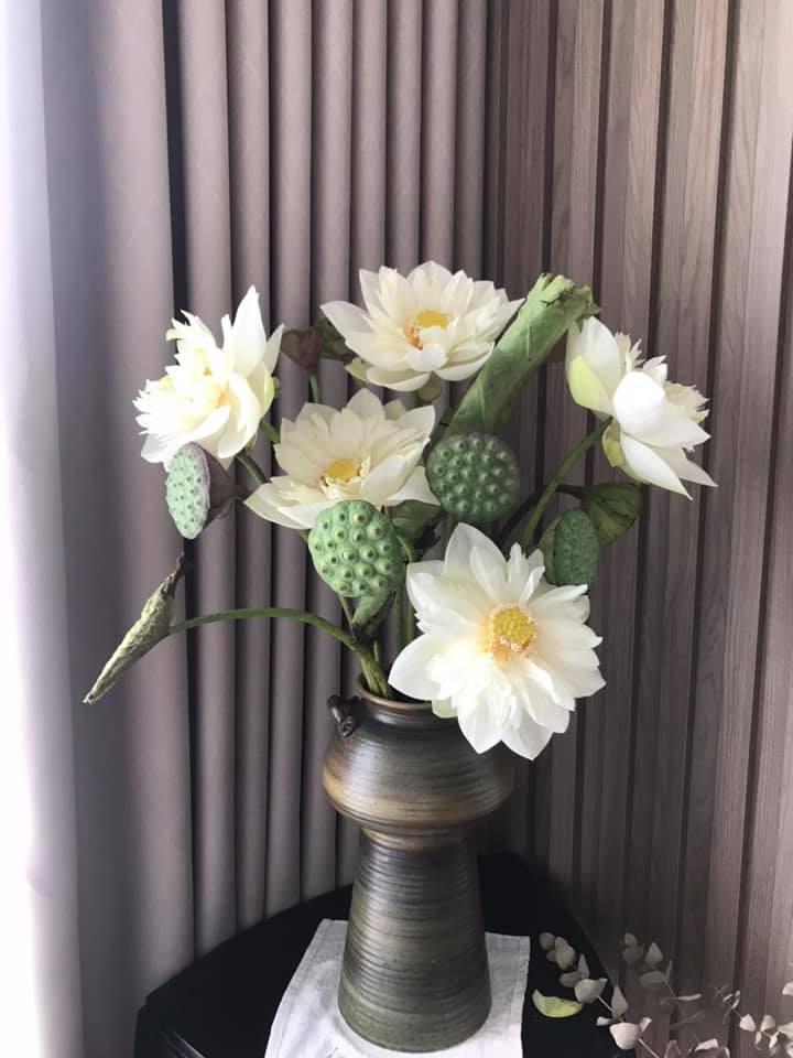 Hoa sen - Ảnh 2. Hoa sen - Ảnh 2.