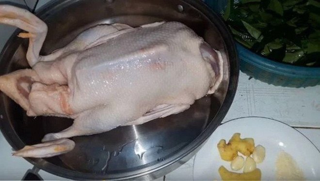 Bí quyết để làm món ngan luộc ngon, mềm, không còn mùi hôi - Ảnh 2. Bí quyết để làm món ngan luộc ngon, mềm, không còn mùi hôi - Ảnh 2.