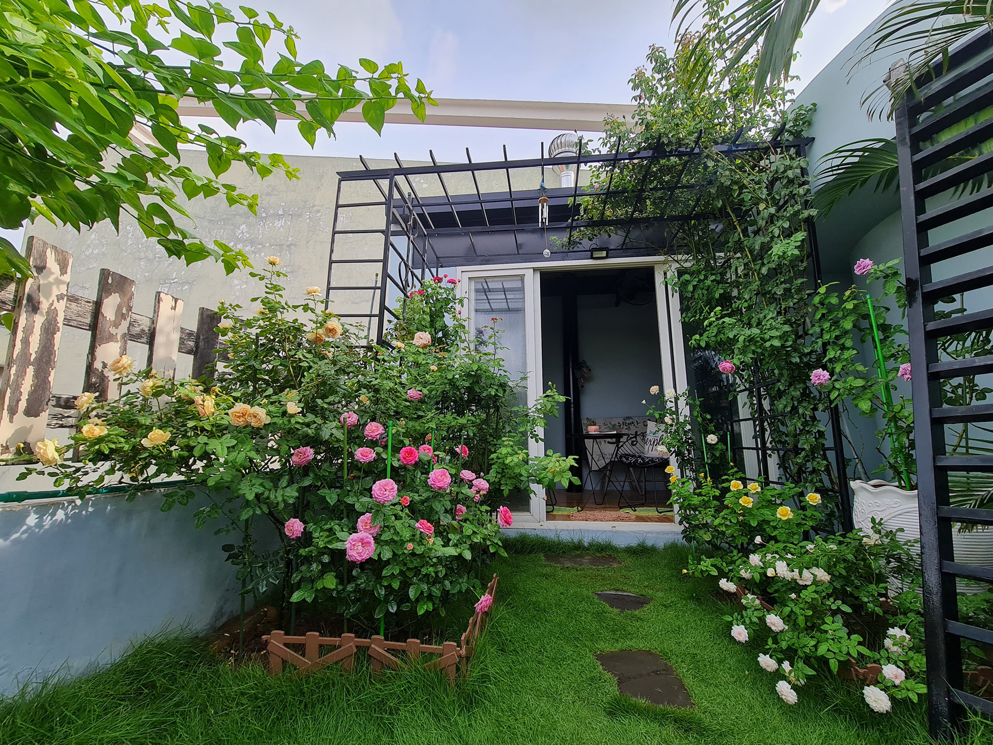 vườn hoa hồng ngoại " vạn người mê" - Ảnh 4. vườn hoa hồng ngoại " vạn người mê" - Ảnh 4.