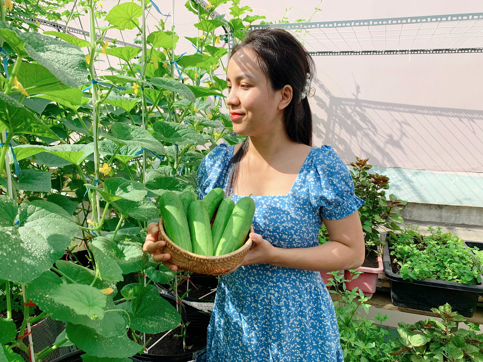 Bố đảm - Ảnh 5. Bố đảm - Ảnh 5.