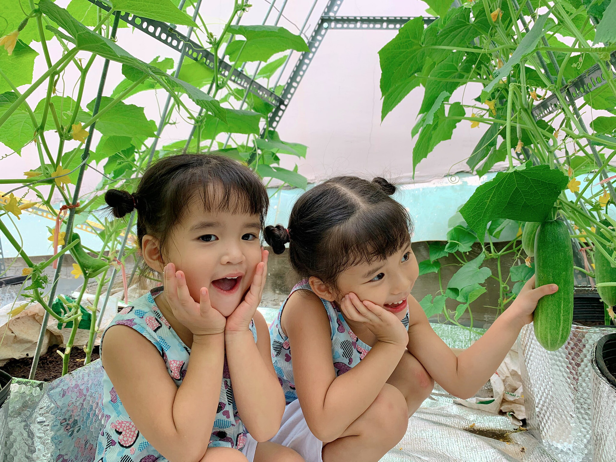 Bố đảm - Ảnh 18. Bố đảm - Ảnh 18.