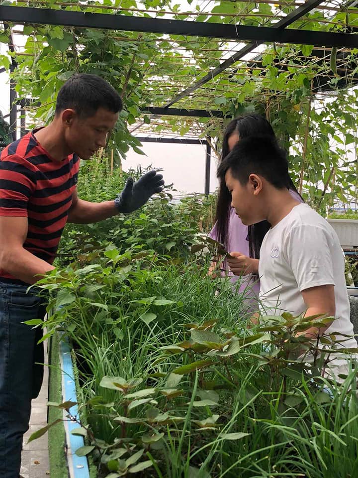 Ông bố đảm Sài Gòn dạy con làm “nông dân sân thượng” - Ảnh 2. Ông bố đảm Sài Gòn dạy con làm “nông dân sân thượng” - Ảnh 2.