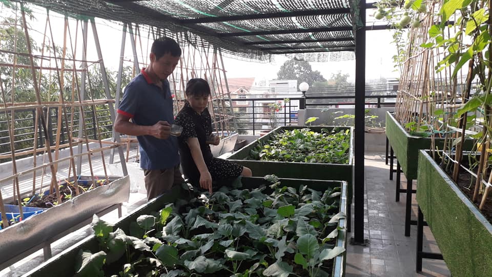 Ông bố đảm Sài Gòn dạy con làm “nông dân sân thượng” - Ảnh 4. Ông bố đảm Sài Gòn dạy con làm “nông dân sân thượng” - Ảnh 4.