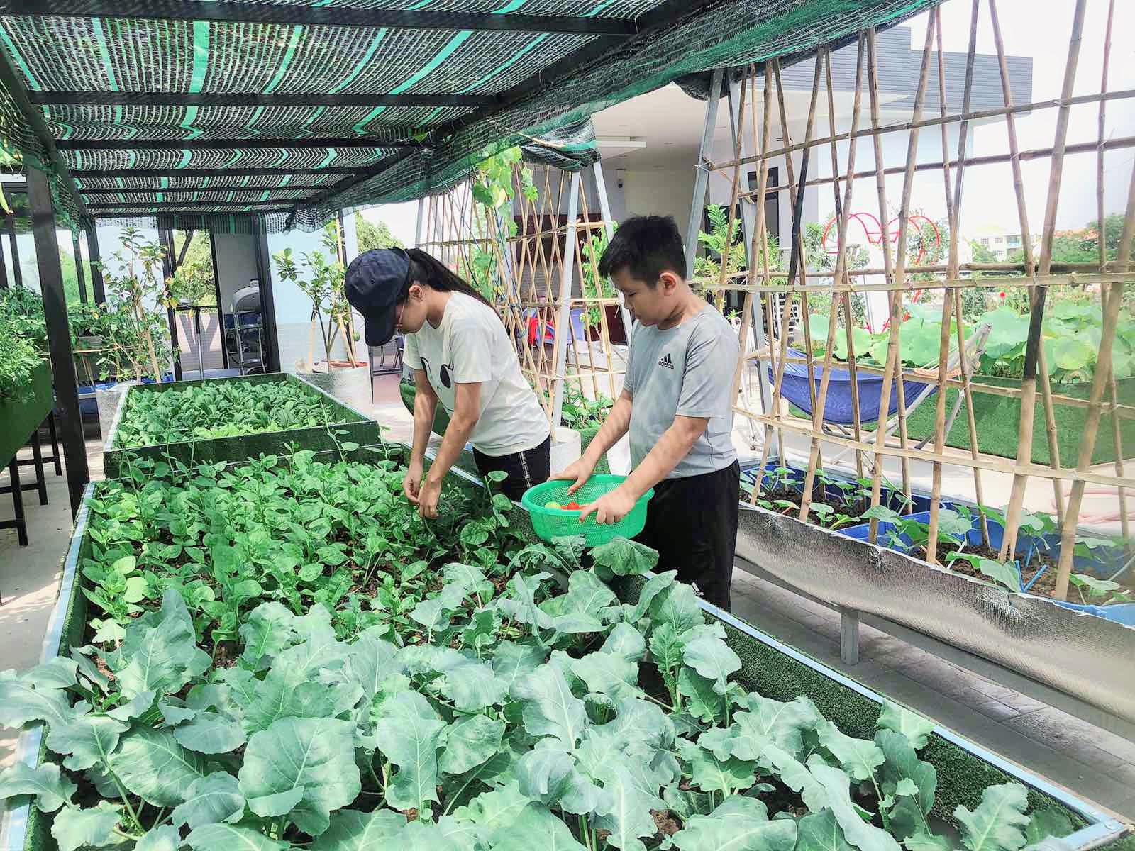 Ông bố đảm Sài Gòn dạy con làm “nông dân sân thượng” - Ảnh 3. Ông bố đảm Sài Gòn dạy con làm “nông dân sân thượng” - Ảnh 3.