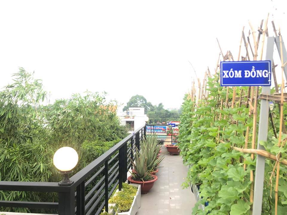 Ông bố đảm Sài Gòn dạy con làm “nông dân sân thượng” - Ảnh 8. Ông bố đảm Sài Gòn dạy con làm “nông dân sân thượng” - Ảnh 8.