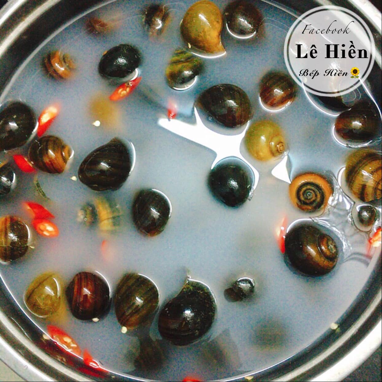 Để ốc sạch bùn đất, hết nhớt chỉ cần ngâm trong thứ nước này - Ảnh 3. Để ốc sạch bùn đất, hết nhớt chỉ cần ngâm trong thứ nước này - Ảnh 3.