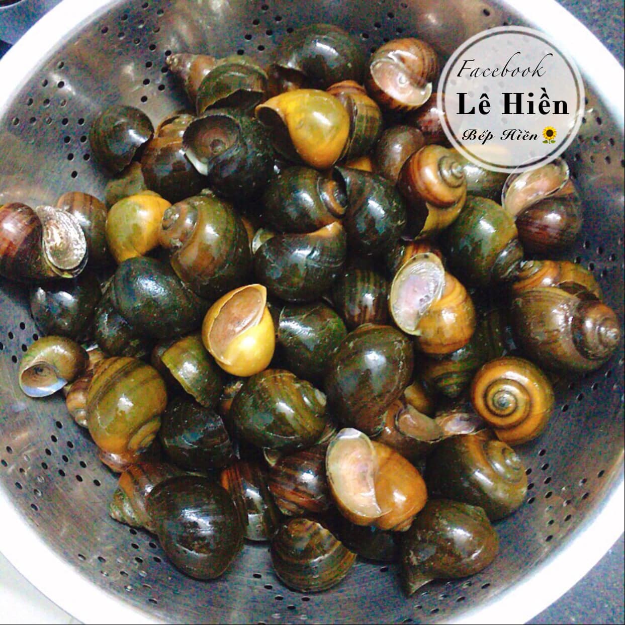 Để ốc sạch bùn đất, hết nhớt chỉ cần ngâm trong thứ nước này - Ảnh 4. Để ốc sạch bùn đất, hết nhớt chỉ cần ngâm trong thứ nước này - Ảnh 4.