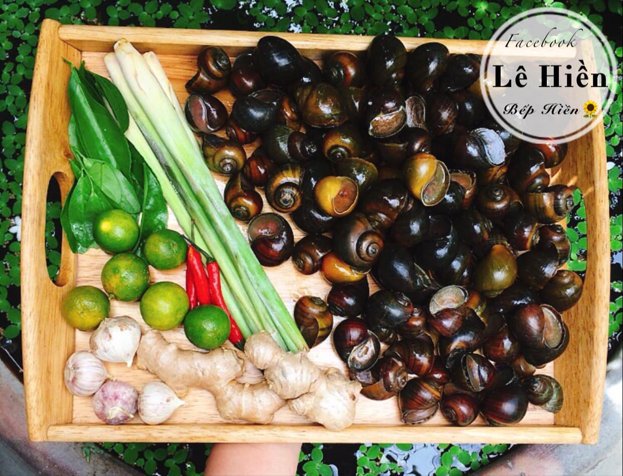 Để ốc sạch bùn đất, hết nhớt chỉ cần ngâm trong thứ nước này - Ảnh 2. Để ốc sạch bùn đất, hết nhớt chỉ cần ngâm trong thứ nước này - Ảnh 2.
