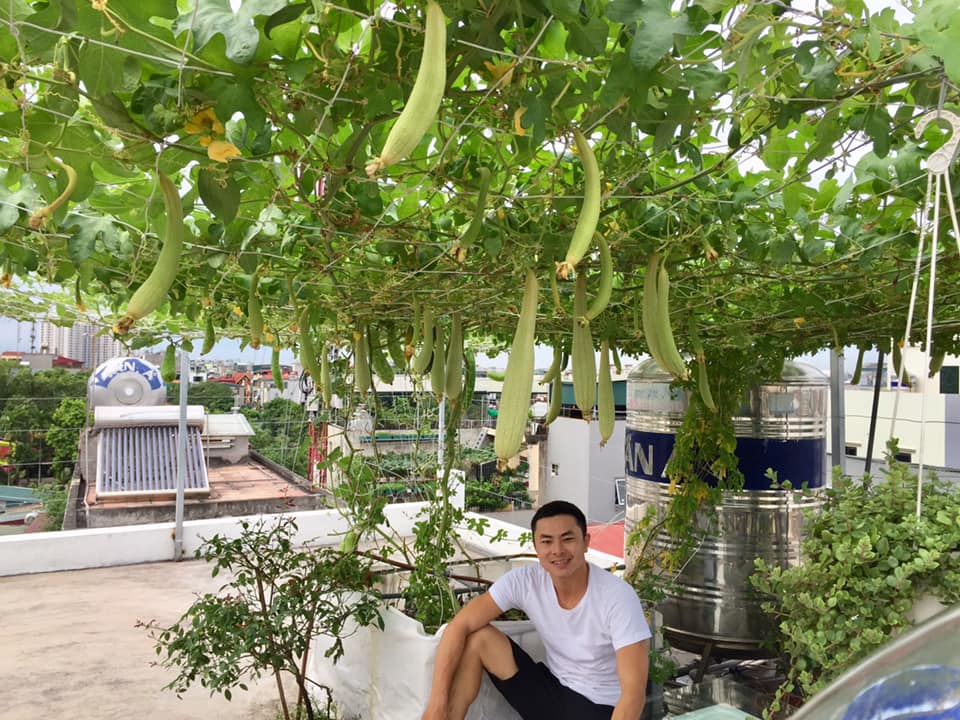 ông bố trẻ 'sở hữu' sân thượng rau và 'ao' cá đáng mơ ước - Ảnh 13. ông bố trẻ 'sở hữu' sân thượng rau và 'ao' cá đáng mơ ước - Ảnh 13.