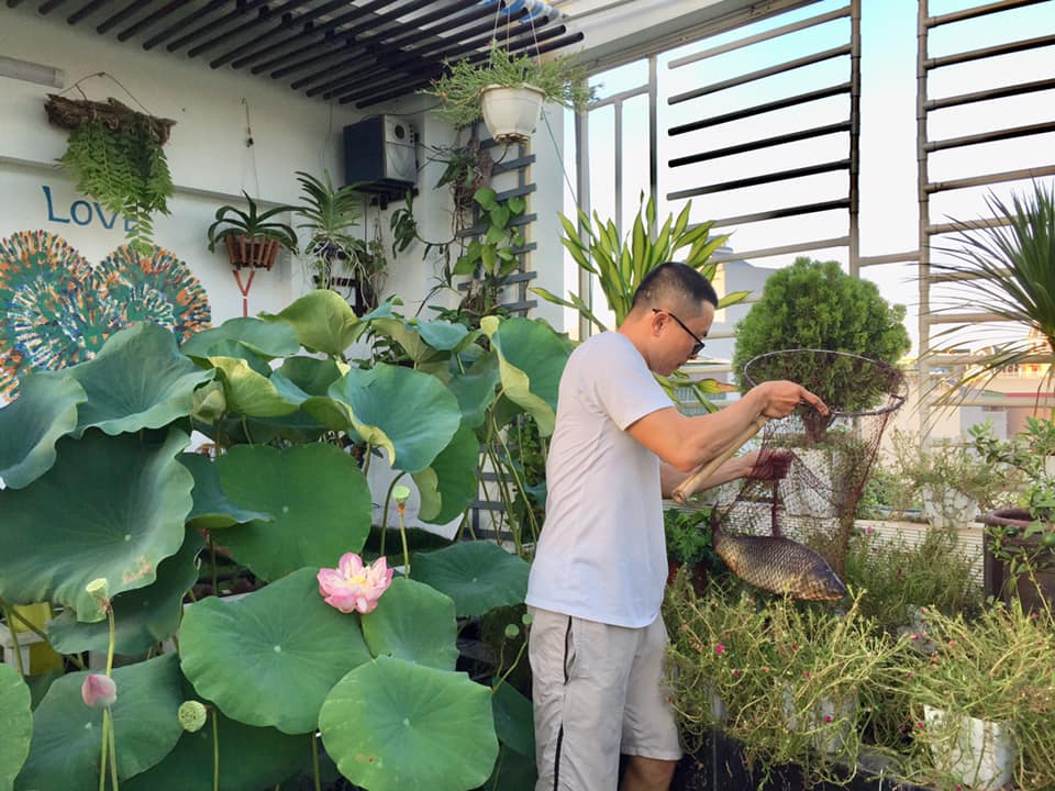 ông bố trẻ 'sở hữu' sân thượng rau và 'ao' cá đáng mơ ước - Ảnh 2. ông bố trẻ 'sở hữu' sân thượng rau và 'ao' cá đáng mơ ước - Ảnh 2.