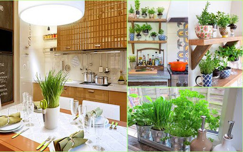 Đặt cây cảnh phong thủy trong nhà ở 3 vị trí này giúp gia chủ sinh tài nhận lộc - Ảnh 3. Đặt cây cảnh phong thủy trong nhà ở 3 vị trí này giúp gia chủ sinh tài nhận lộc - Ảnh 3.
