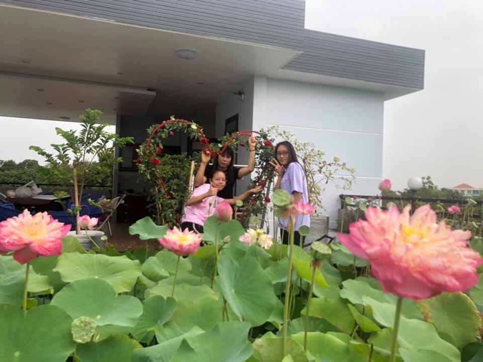 Ngỡ ngàng hồ sen ngát hương quanh năm trên tầng thượng của gia đình Sài Gòn - Ảnh 10. Ngỡ ngàng hồ sen ngát hương quanh năm trên tầng thượng của gia đình Sài Gòn - Ảnh 10.