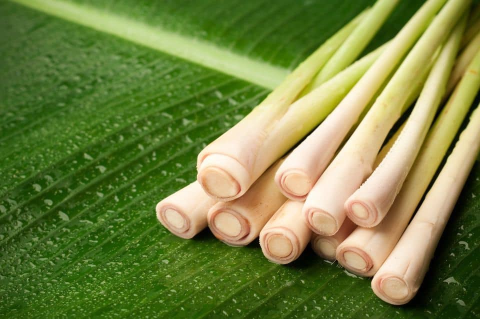 Tuyệt chiêu bảo quản gia vị, rau củ để lâu không hư hỏng - Ảnh 4. Tuyệt chiêu bảo quản gia vị, rau củ để lâu không hư hỏng - Ảnh 4.