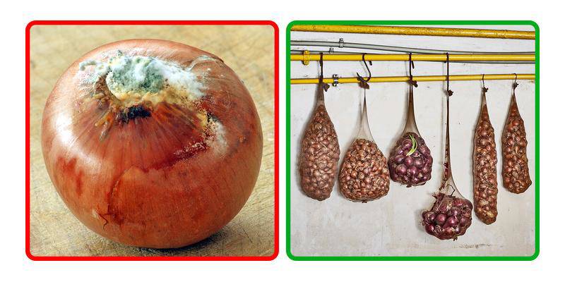 Tuyệt chiêu bảo quản gia vị, rau củ để lâu không hư hỏng - Ảnh 7. Tuyệt chiêu bảo quản gia vị, rau củ để lâu không hư hỏng - Ảnh 7.