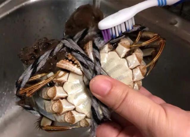 Hấp cua ghẹ thơm ngon, không bị rụng chân cần thêm 1 bước này - Ảnh 1.