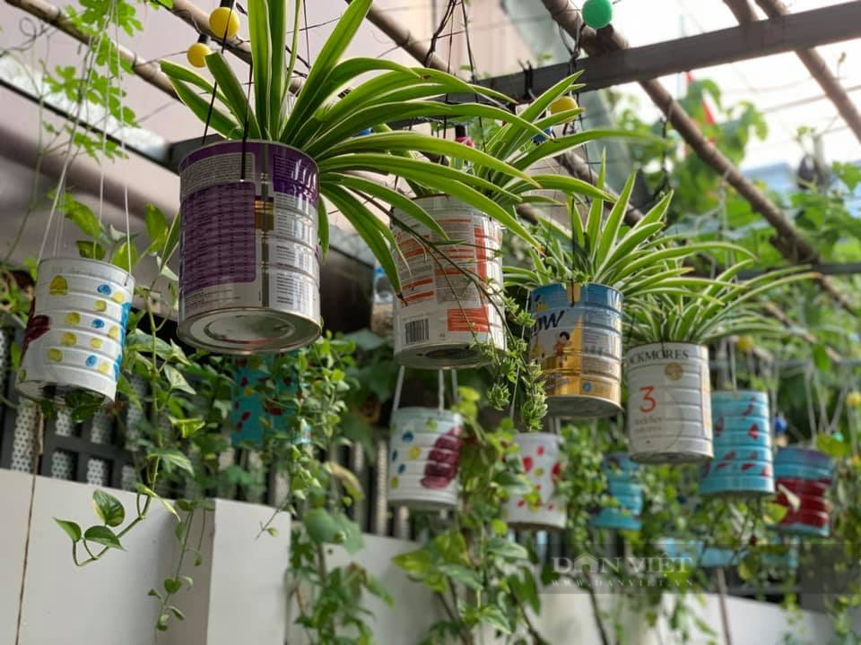 Vườn rau treo vừa tiết kiệm diện tích, vừa cho rau sạch mơn mởn - Ảnh 11. Vườn rau treo vừa tiết kiệm diện tích, vừa cho rau sạch mơn mởn - Ảnh 11.
