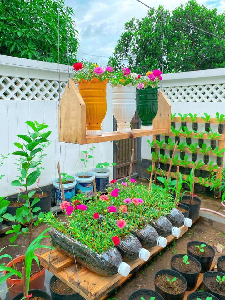 Clip: Hướng dẫn cách tái chế chai nhựa để trồng rau vừa nhanh vừa tiết kiệm - Ảnh 4. Clip: Hướng dẫn cách tái chế chai nhựa để trồng rau vừa nhanh vừa tiết kiệm - Ảnh 4.