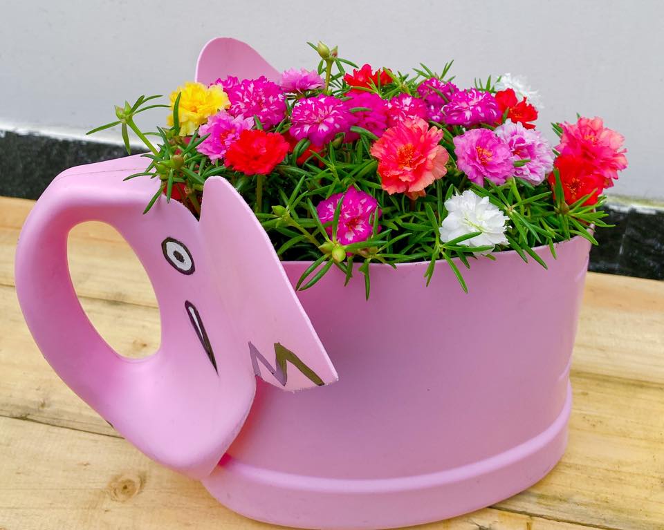 Clip: Hướng dẫn cách tái chế chai nhựa để trồng rau vừa nhanh vừa tiết kiệm - Ảnh 6. Clip: Hướng dẫn cách tái chế chai nhựa để trồng rau vừa nhanh vừa tiết kiệm - Ảnh 6.