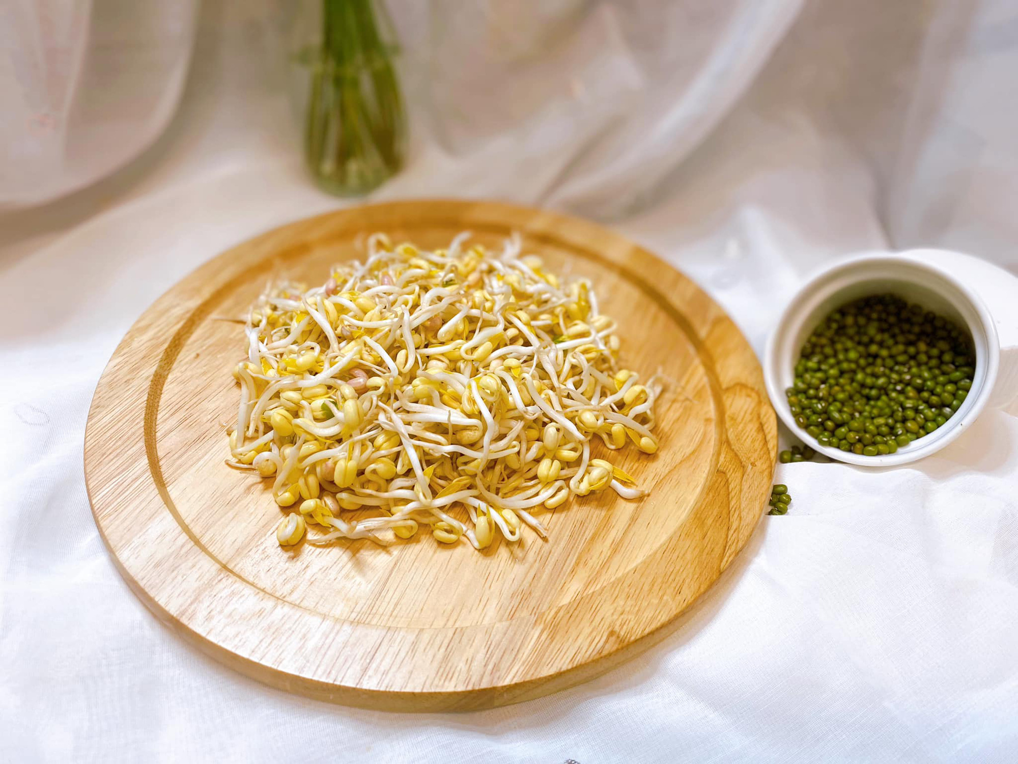 cách làm giá đỗ cho 'người lười' trong mùa dịch - Ảnh 6.
