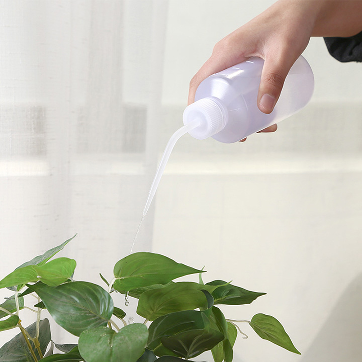 7 bí quyết chăm sóc cây cảnh trong nhà để cây luôn xanh tốt - Ảnh 2. 7 bí quyết chăm sóc cây cảnh trong nhà để cây luôn xanh tốt - Ảnh 2.