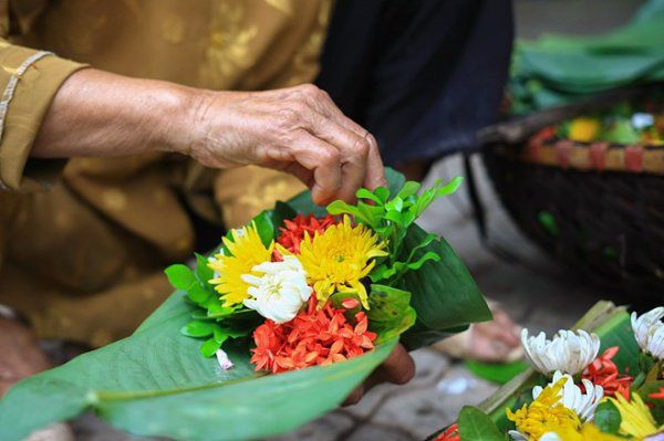 Đặt cây cảnh này trên bàn thờ vào cuối năm để đón tài lộc, gặt may mắn - Ảnh 1. Đặt cây cảnh này trên bàn thờ vào cuối năm để đón tài lộc, gặt may mắn - Ảnh 1.
