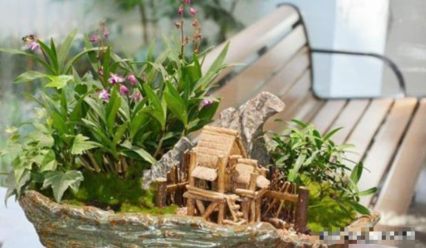 Đi chợ hoa Tết, thấy cây cảnh có đặc điểm này, đẹp mấy cũng nên cân nhắc - Ảnh 2.