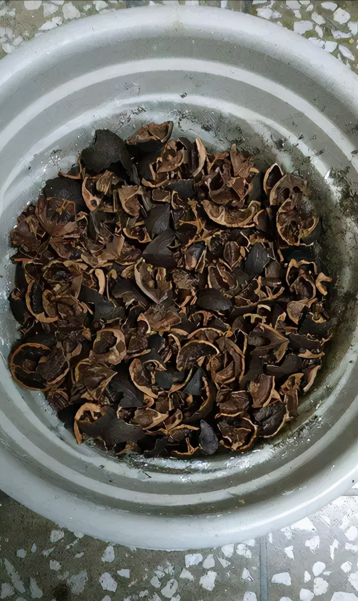 Tận dụng rác để trồng cây cảnh, vừa sạch nhà lại xanh cây - Ảnh 6.