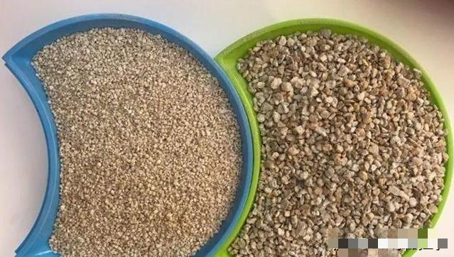 Tận dụng rác để trồng cây cảnh, vừa sạch nhà lại xanh cây - Ảnh 3.