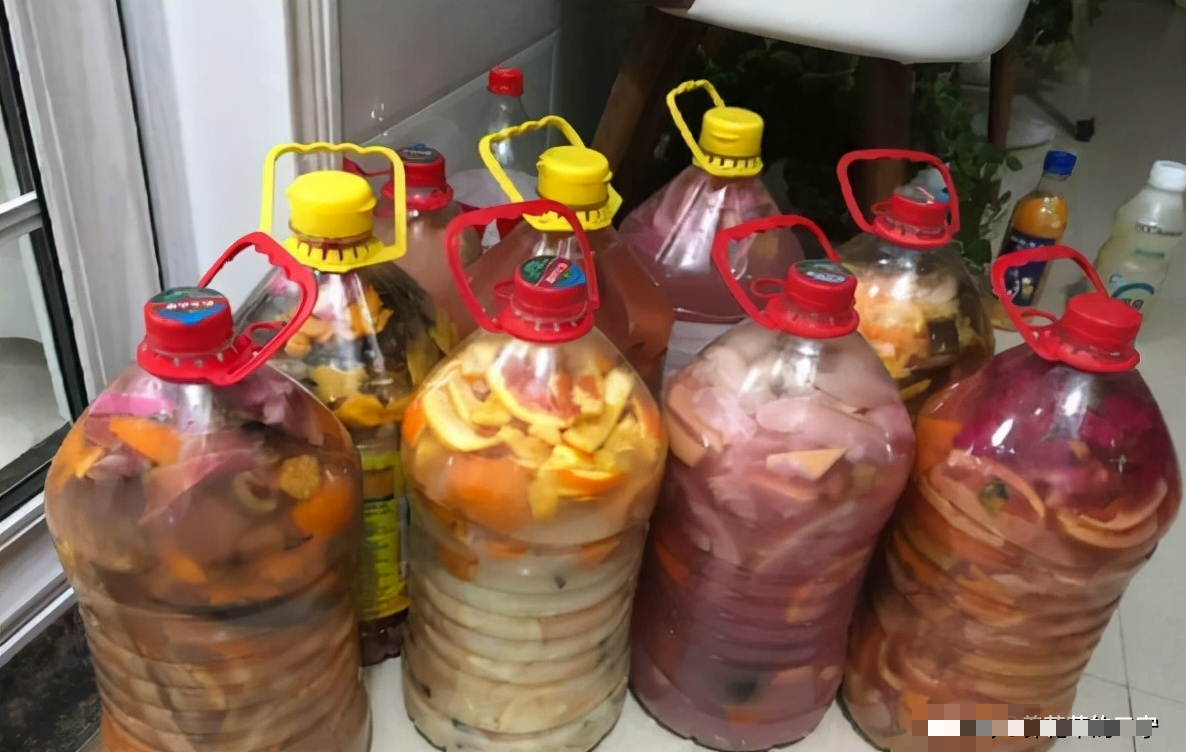 Tận dụng rác để trồng cây cảnh, vừa sạch nhà lại xanh cây - Ảnh 7.