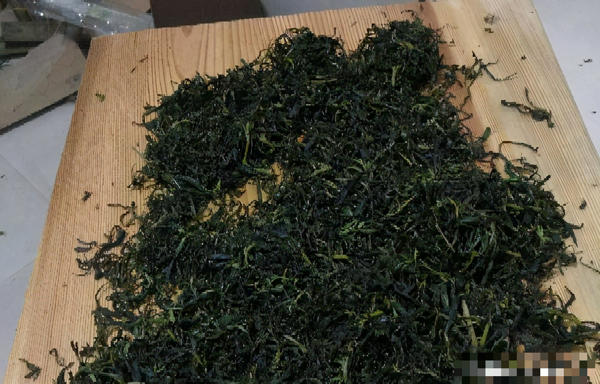 Tận dụng rác để trồng cây cảnh, vừa sạch nhà lại xanh cây - Ảnh 10.