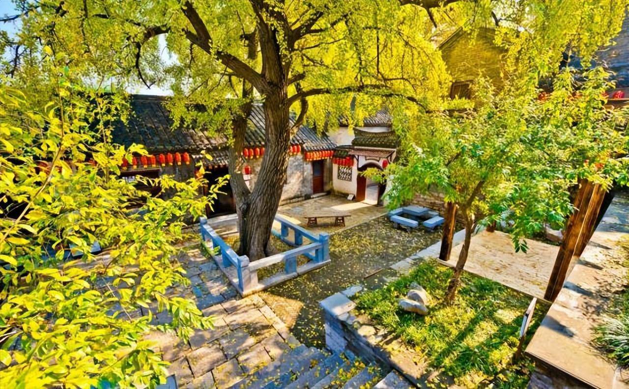 Nhà giàu thích trồng 5 cây cảnh này ở sân nhà, dòng họ trăm năm hưng thịnh - Ảnh 1.